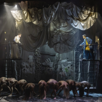 1729759137 299  0t9a8125 foto zdenko hanout-3463