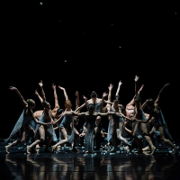 murmuration 0