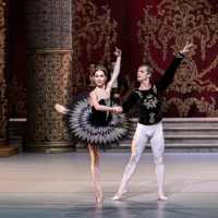 olga chelpanova odilia a viacheslav krut princ siegfried 04